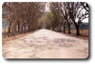 Entrada a la Finca El Abra