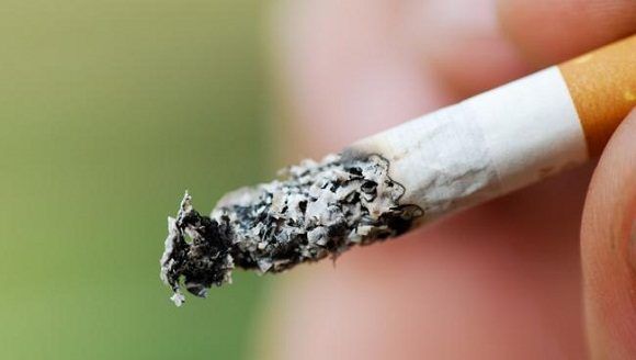 Los residuos de tabaco contienen más de 7000 sustancias químicas tóxicas que envenenan el medio ambiente, algunas de ellas cancerígenas para el ser humano. Foto: El Economista.