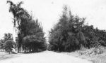 Carretera Santa Barbara