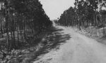 Carretera Santa Barbara