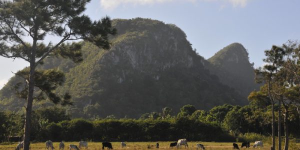 Nueva Gerona