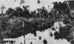 Rio Las Nuevas