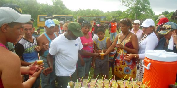 GUANAL-El coctel