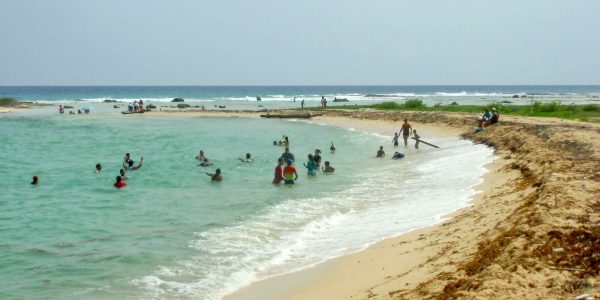 GUANAL-: La belleza de la playa
