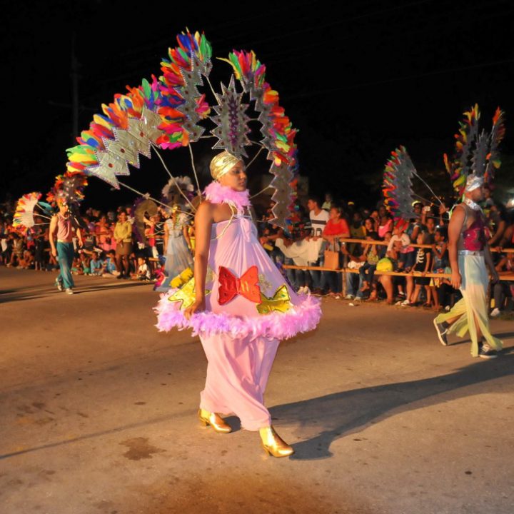 Fiestas Pineras 17