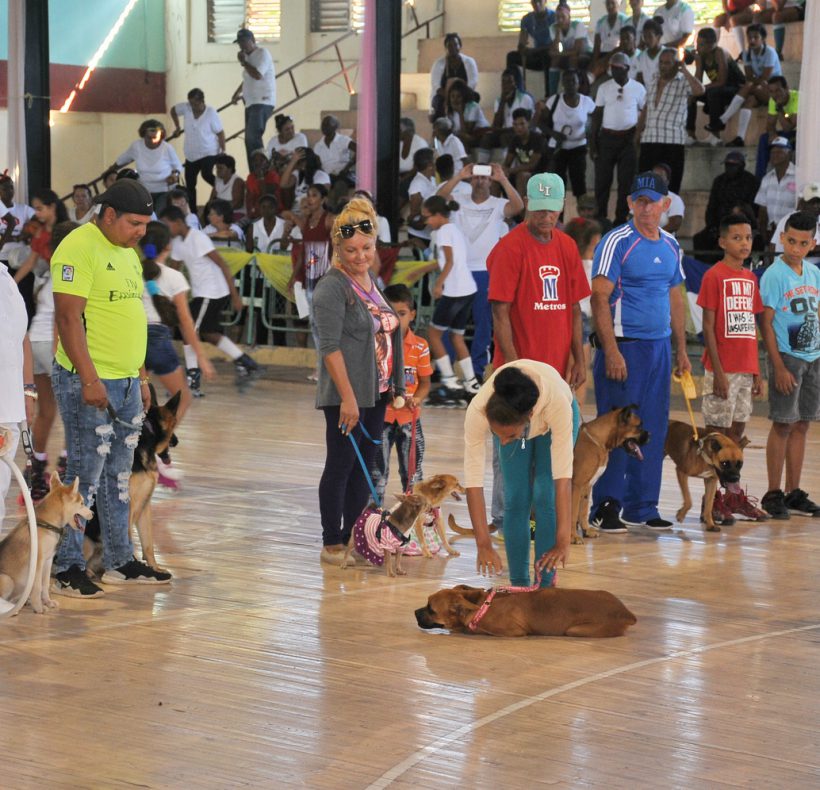 Día de la Cultura Física y el Deporte_05