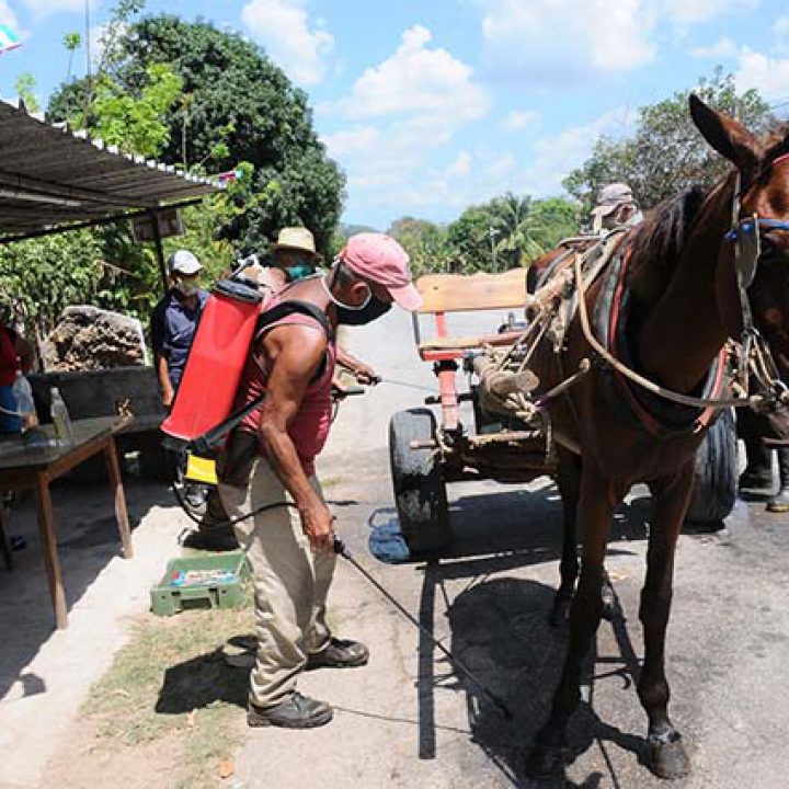 Comunidades Gloria 1