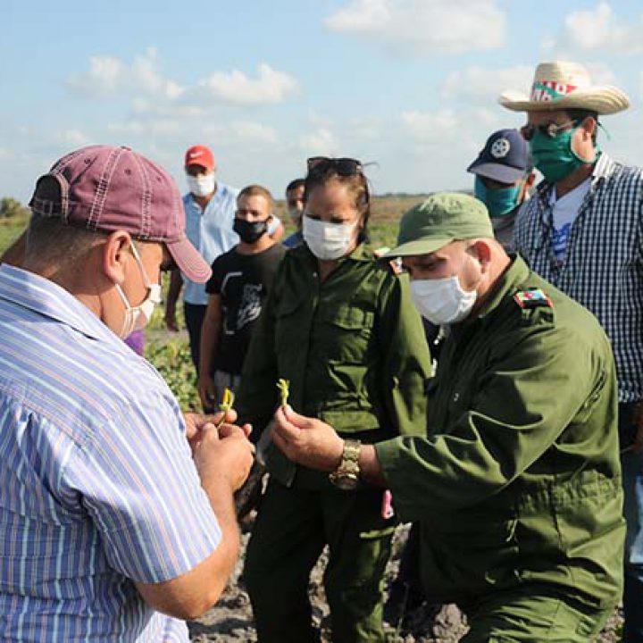 RECORRIDO AGRICULTURA 2