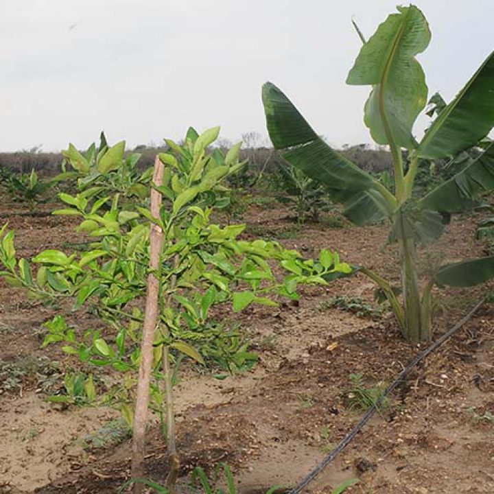 Recorrido Agri FOTO 3