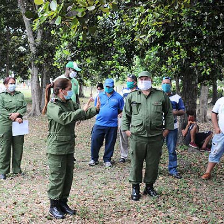 No al síndrome 3. Los Mangos