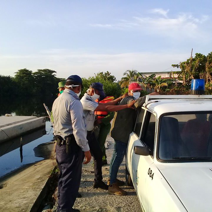 caso langosta 2