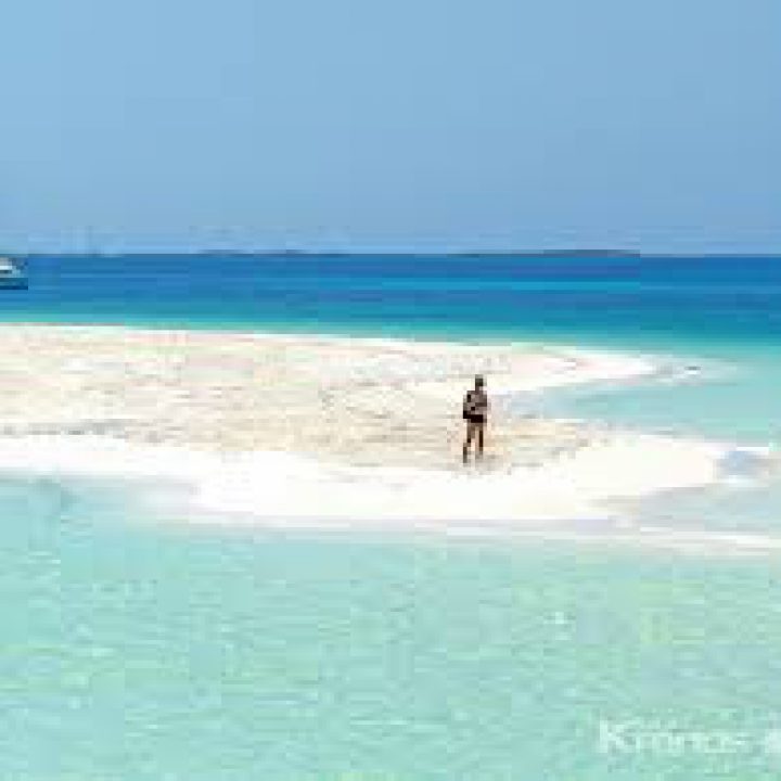 Cayo 2