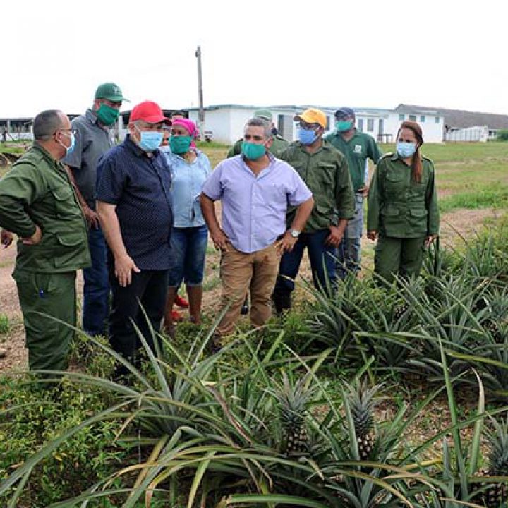 Recorrido de Vice Primer Ministro Jorge Luis Tapia Fonseca – fotos Yesmanis Vega Ávalos_09