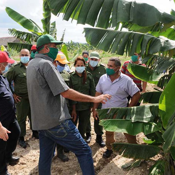 Recorrido de Vice Primer Ministro Jorge Luis Tapia Fonseca – fotos Yesmanis Vega Ávalos_10