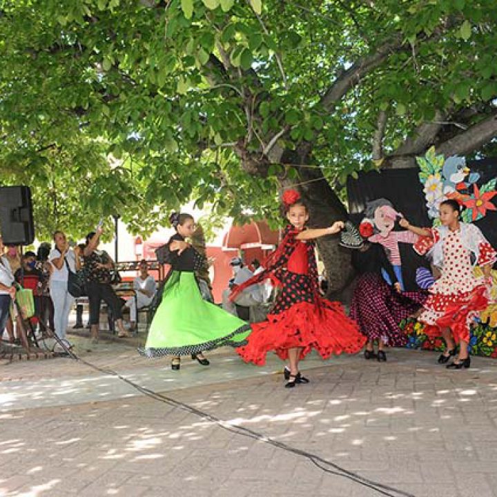 Lecturas de Verano, fotos Yesmanis Vega Ávalos_1