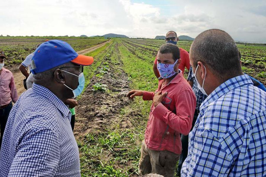 Visita de Salvador Valdés Mesa Vicepresidente de los Consejos de Estado y de Ministros_04