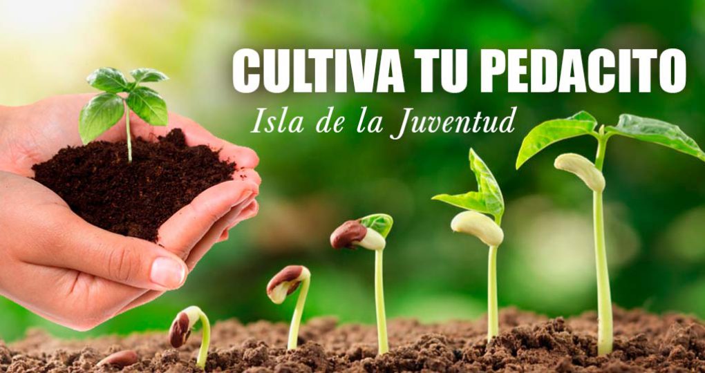 Cultiva tu pedacito