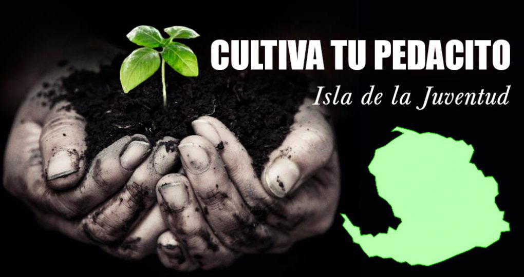 Cultiva tu pedacito – Isla de la Juventud