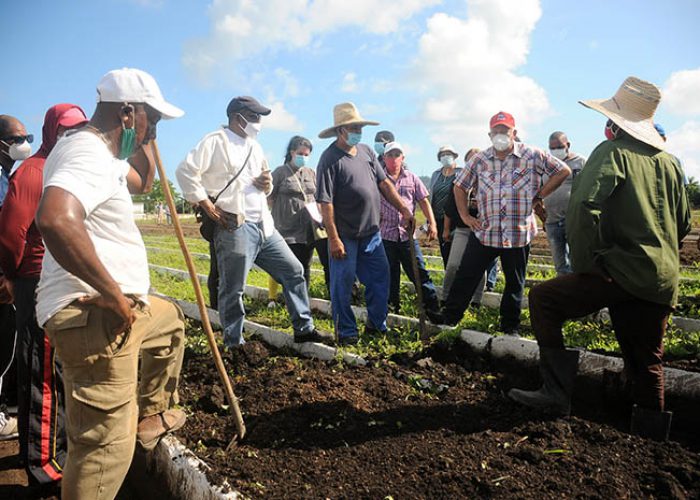 Recorrido del viceprimer ministro Jorge Luis Tapia Fonseca, fotos Yesmanis Vega Avalo_07