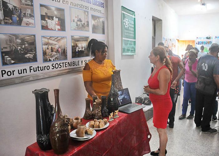 Exposición Municipal _Soluciones Cuba_ ANIR, fotos Yesmanis Vega Avalo_08