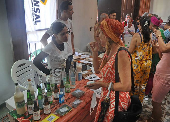 Exposición Municipal _Soluciones Cuba_ ANIR, fotos Yesmanis Vega Avalo_09