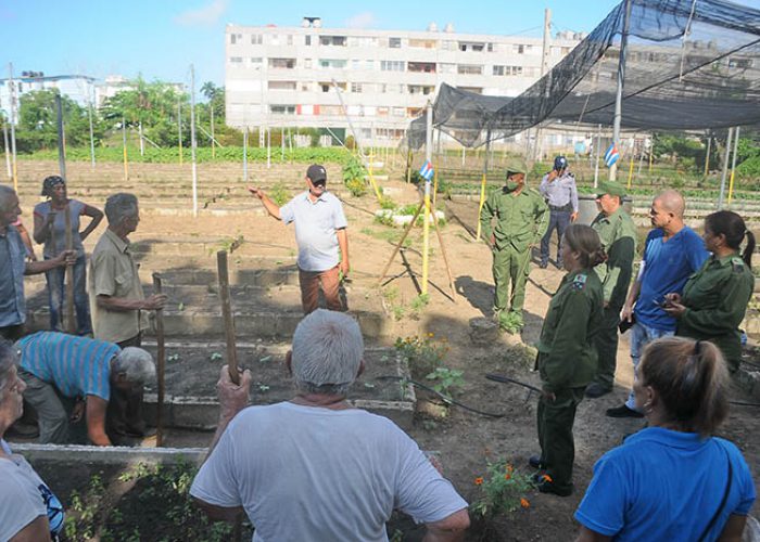 Día territorial de la defensa, fotos Yesmanis Vega Avalo_07