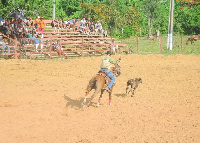 Rodeo, fotos Yesmanis Vega Avalo_4