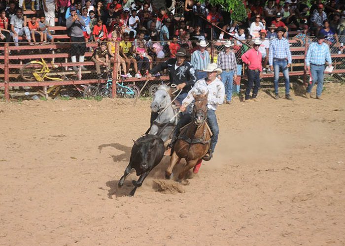 Rodeo, fotos Yesmanis Vega Avalo_6
