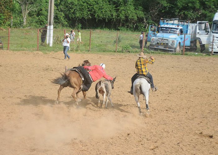 Rodeo, fotos Yesmanis Vega Avalo_7
