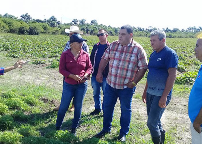 Felix Duarte SECRETARIADO 1