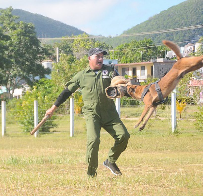 Día territorial de la Defensa, fotos Yesmanis Vega Avalo_11