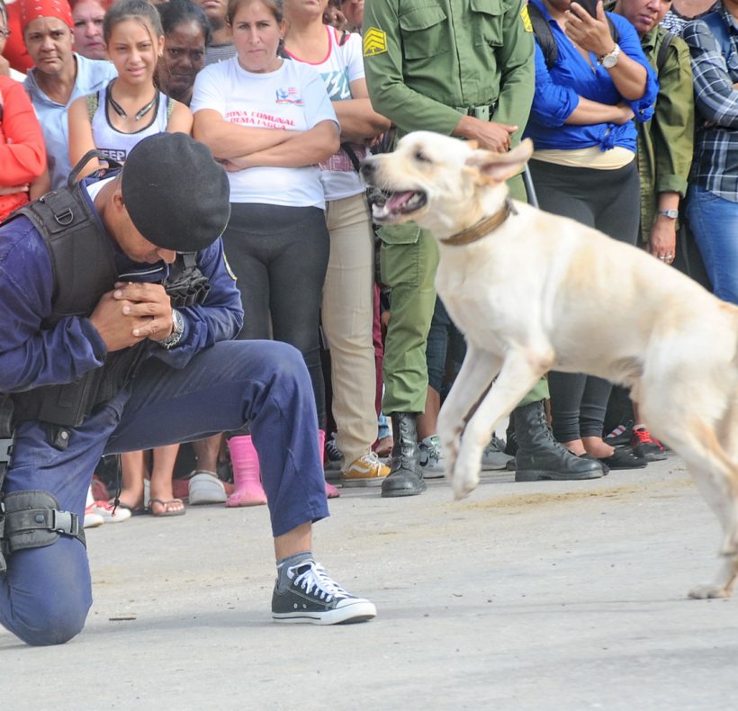 Día de la defenza nacional.Foto Yoandris Delgado Matos. (18)