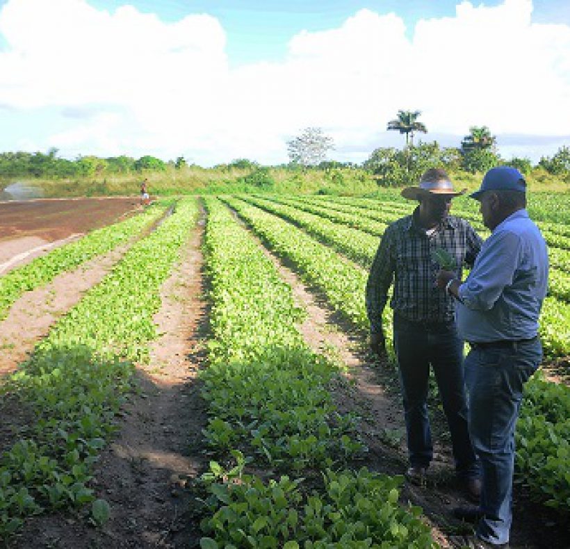 visita parlamentaria, fotos Yesmanis Vega Avalo_4