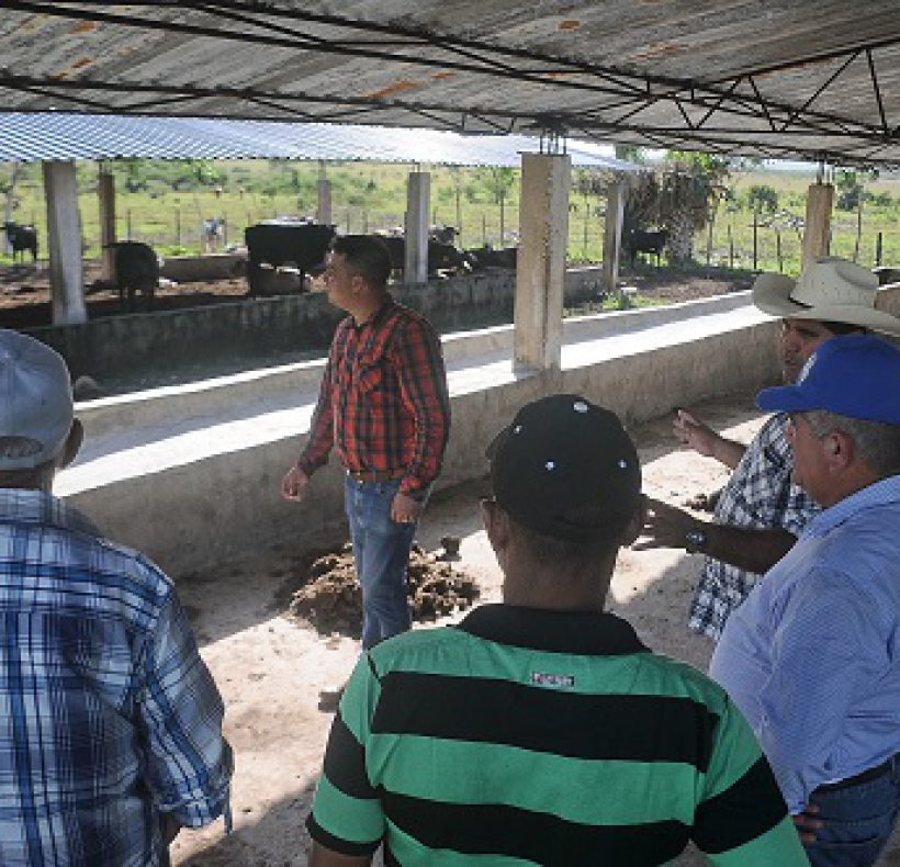 visita parlamentaria, fotos Yesmanis Vega Avalo_5