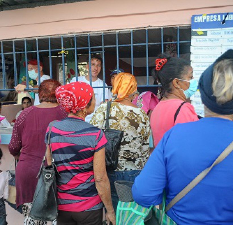 Feria agropecuaria. Foto Yoandris Delgado Matos (2)