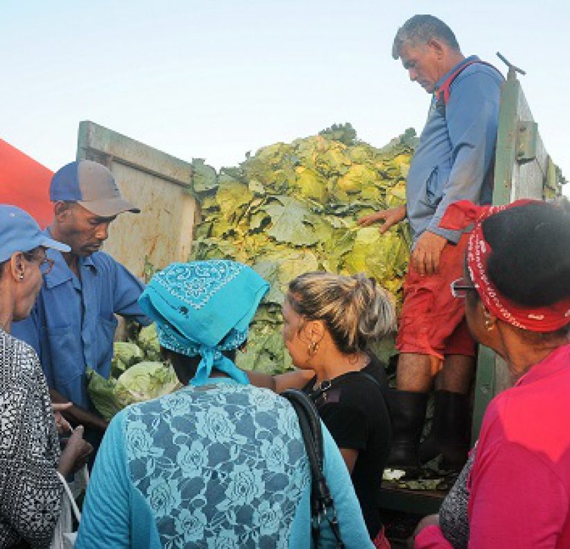 Feria agropecuaria. Foto Yoandris Delgado Matos (5)