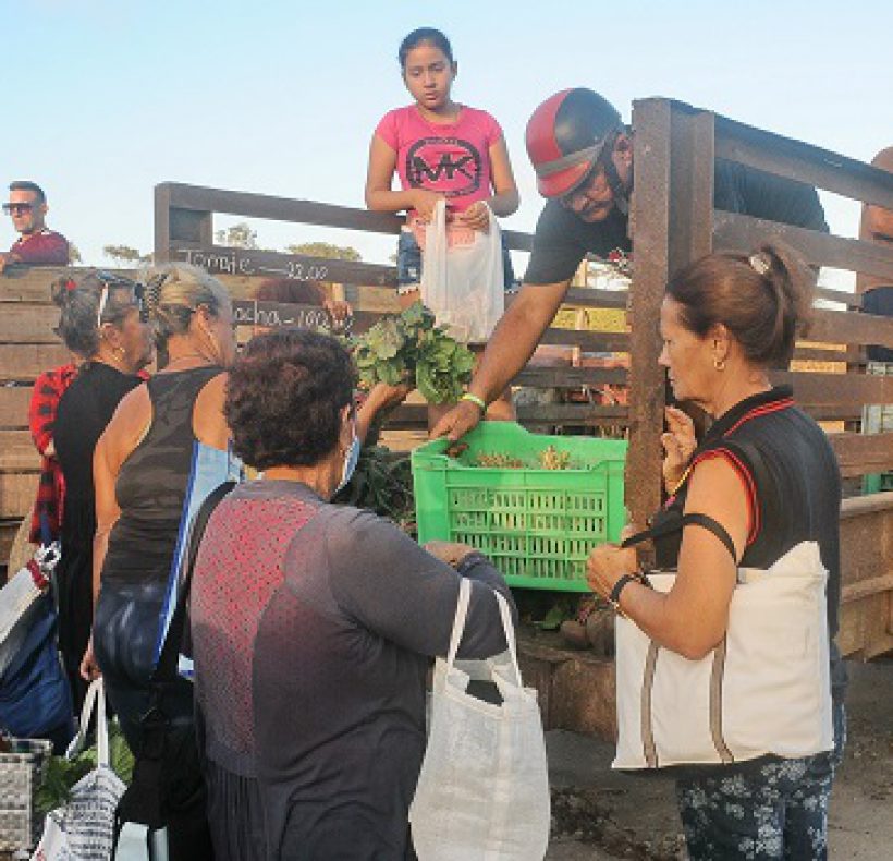Feria agropecuaria. Foto Yoandris Delgado Matos (8)