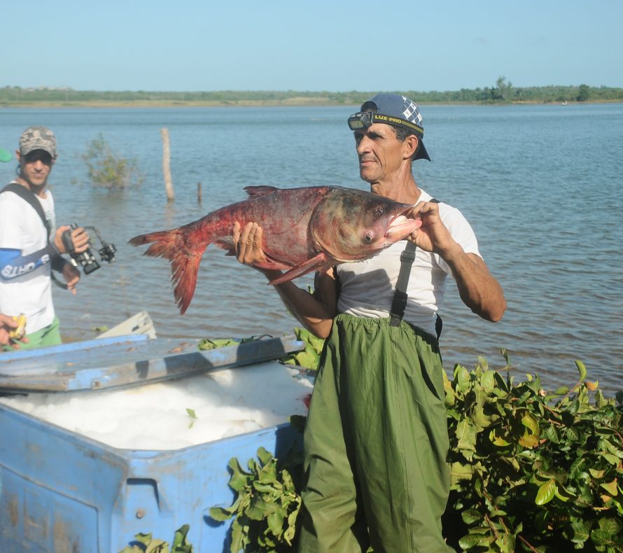 Visita de José Ramón Machado Ventura, fotos Yesmanis Vega Avalo_1