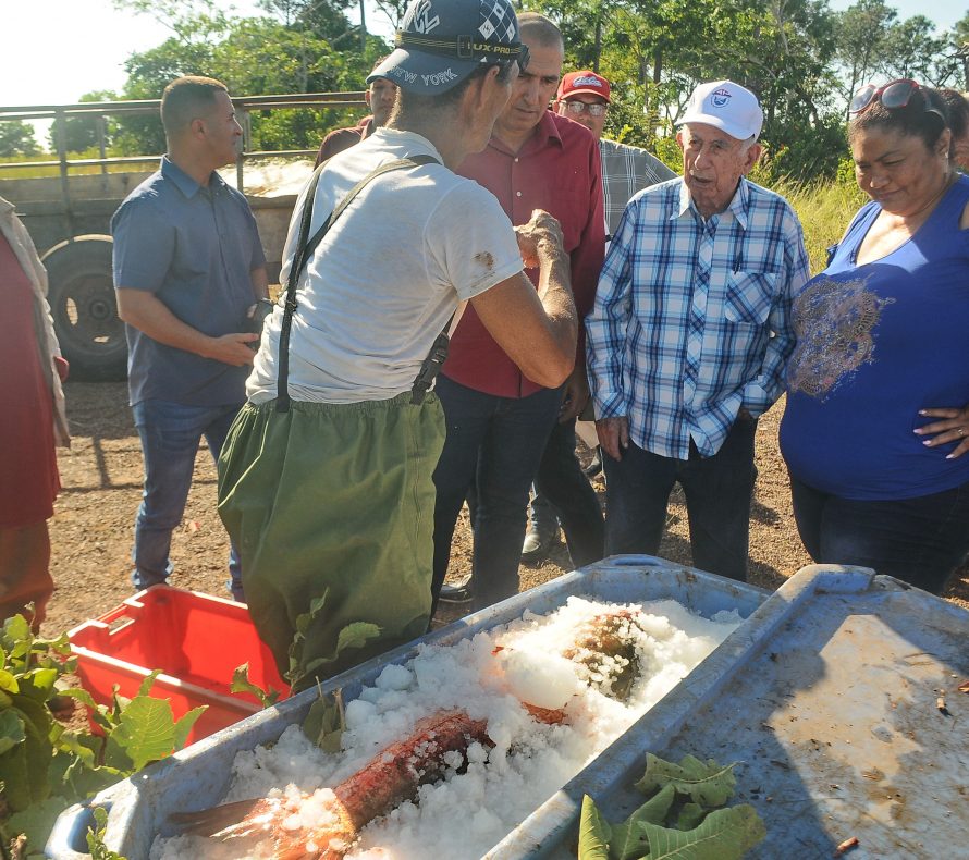 Visita de José Ramón Machado Ventura, fotos Yesmanis Vega Avalo_3