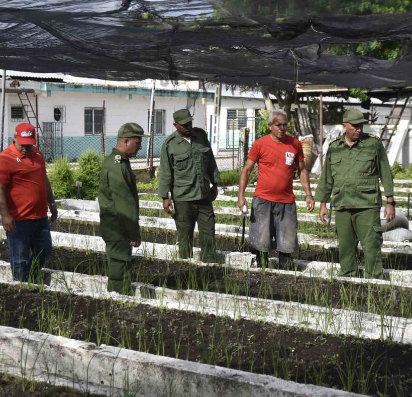 Día territorial de la defensa, fotos Yesmanis Vega Avalo_04