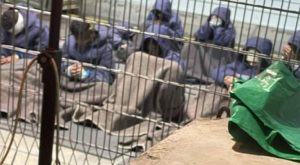 Más de nueve mil 500 palestinos encerrados en prisiones israelíes
