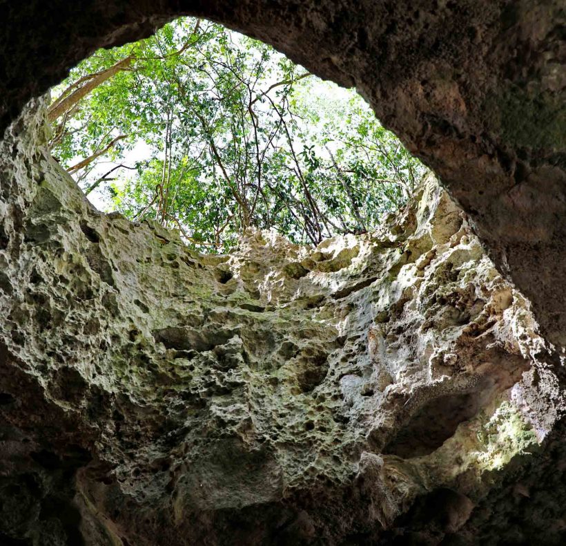 Encantos naturales al este (15) (2)