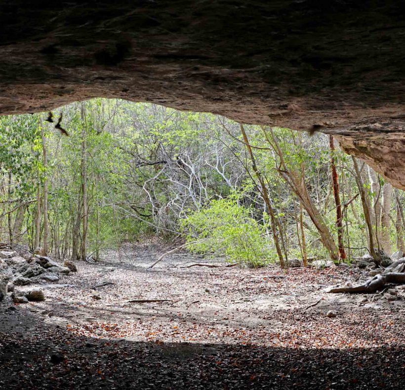 Encantos naturales al este (16) (2)
