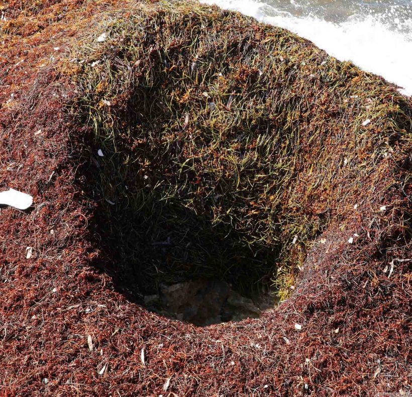 Encantos naturales al este (19) (2)