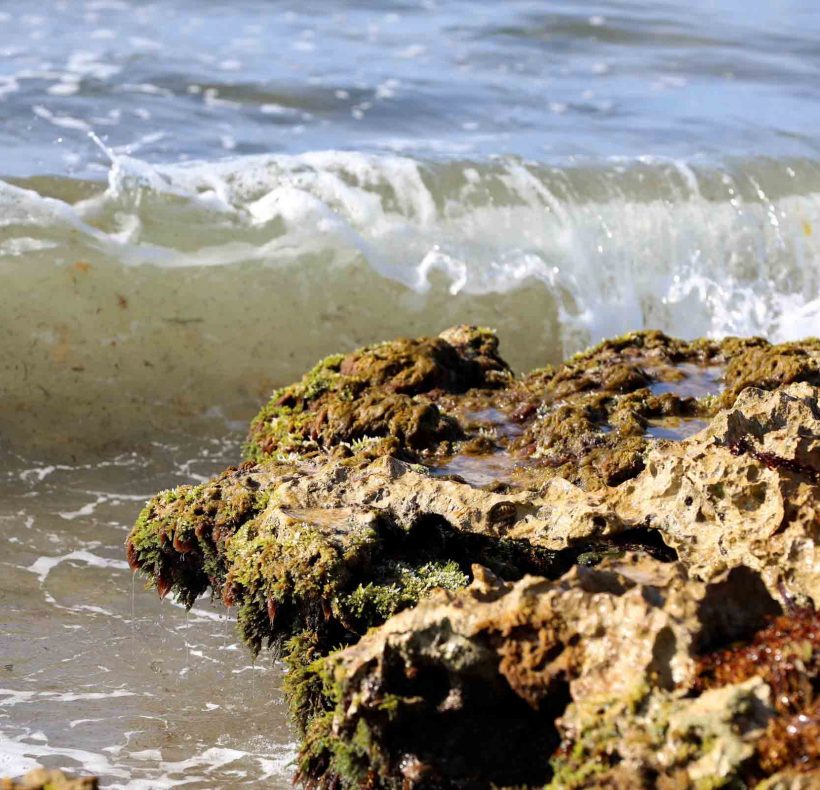 Encantos naturales al este – Web (3) (2)